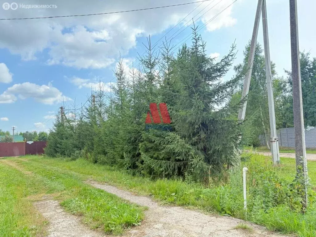 Участок в Ярославский муниципальный округ, деревня Тарантаево (15 м) - Фото 0