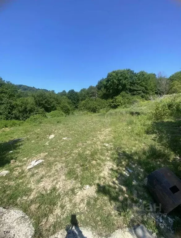 Участок в Краснодарский край, Сочи Адлер жилрайон,  (4.78 сот.) - Фото 1