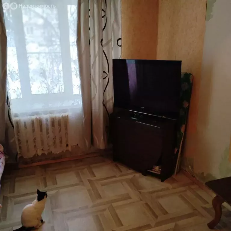 1-комнатная квартира: Алексин, Армейская улица, 12А (21 м) - Фото 1