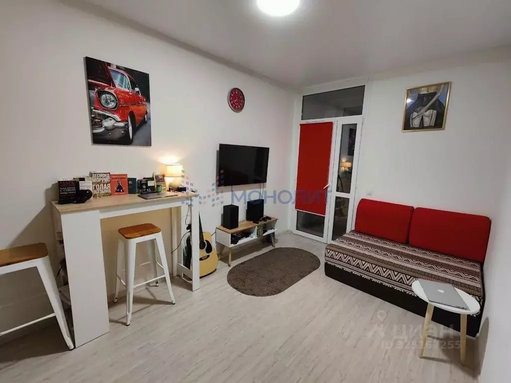 1-к кв. Нижегородская область, Нижний Новгород д. Анкудиновка, ул. ... - Фото 1