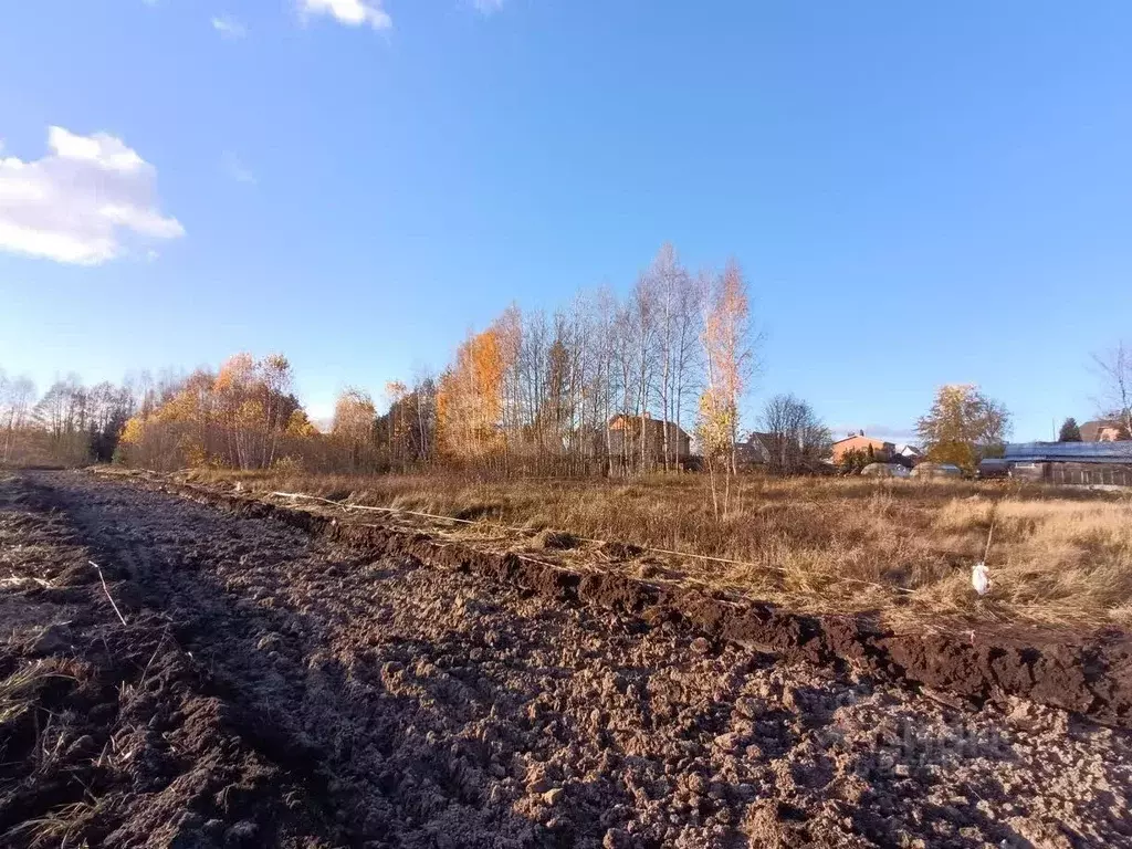 Участок в Московская область, Богородский городской округ, д. Калитино ... - Фото 0