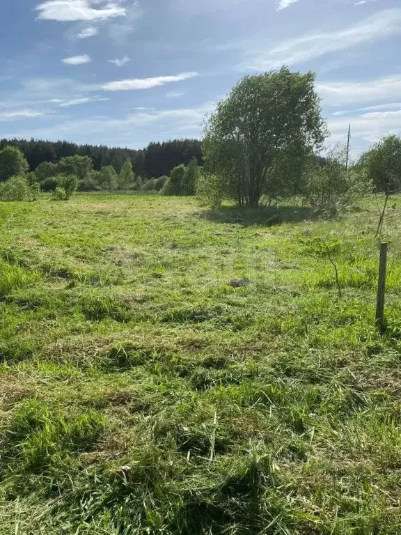 Участок в Ярославская область, Тутаевский муниципальный округ, ... - Фото 1