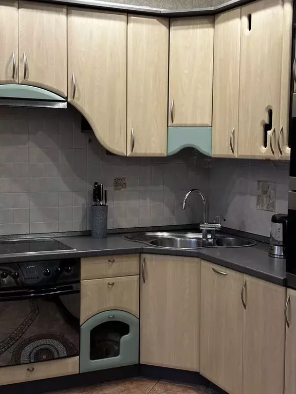 4-к кв. Санкт-Петербург ул. Савушкина, 115К4 (112.0 м) - Фото 2