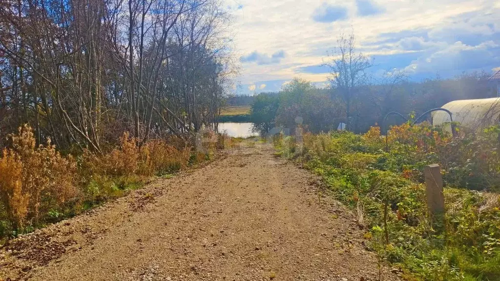 Участок в Псковская область, Островская волость, д. Городище ул. ... - Фото 1