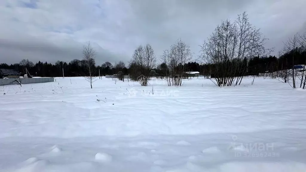 Участок в Московская область, Щелково городской округ, д. Вторая ... - Фото 1