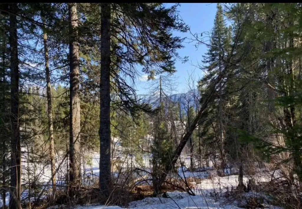 Участок в Алтай, Турочакский район, с. Артыбаш пер. Радужный (25.0 ... - Фото 2
