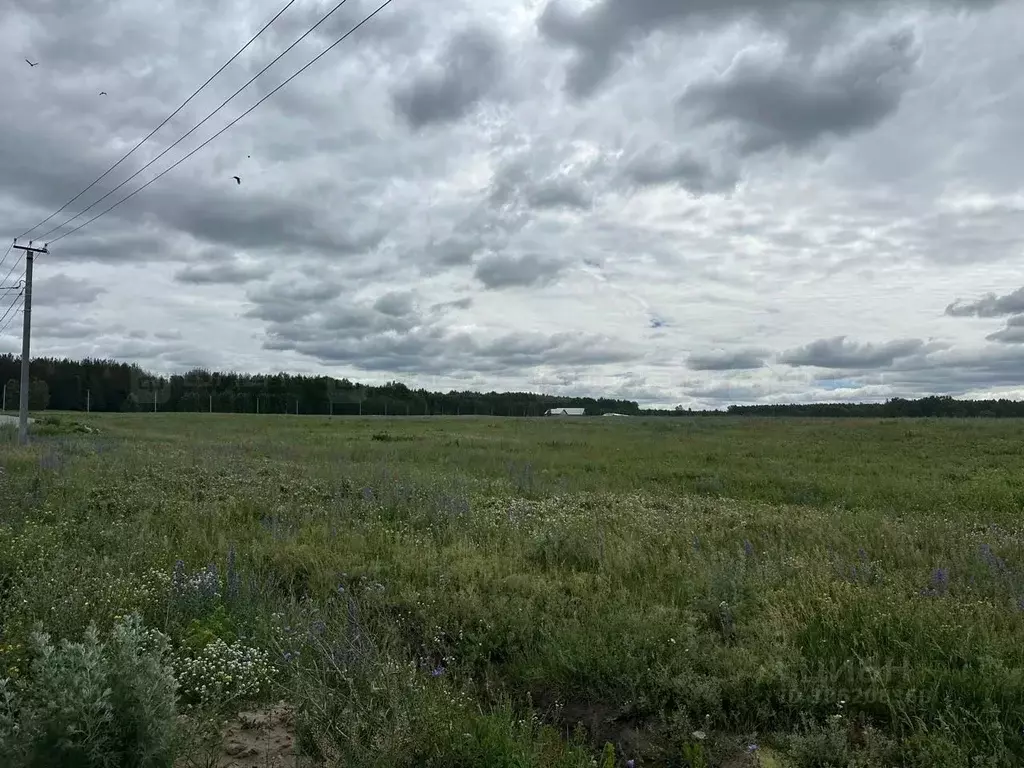 Участок в Татарстан, Лаишевский район, Егорьевское с/пос, с. Бима ул. ... - Фото 0