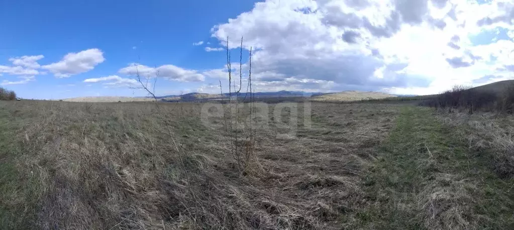 Участок в Алтай, Майминский район, с. Подгорное  (7.99 сот.) - Фото 0
