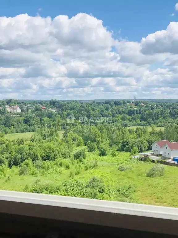 1-к кв. Московская область, Дмитровский муниципальный округ, д. ... - Фото 1