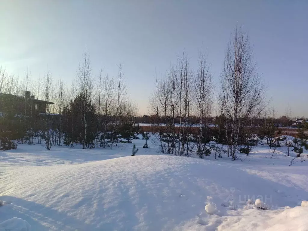 Участок в Московская область, Раменский муниципальный округ, ... - Фото 2