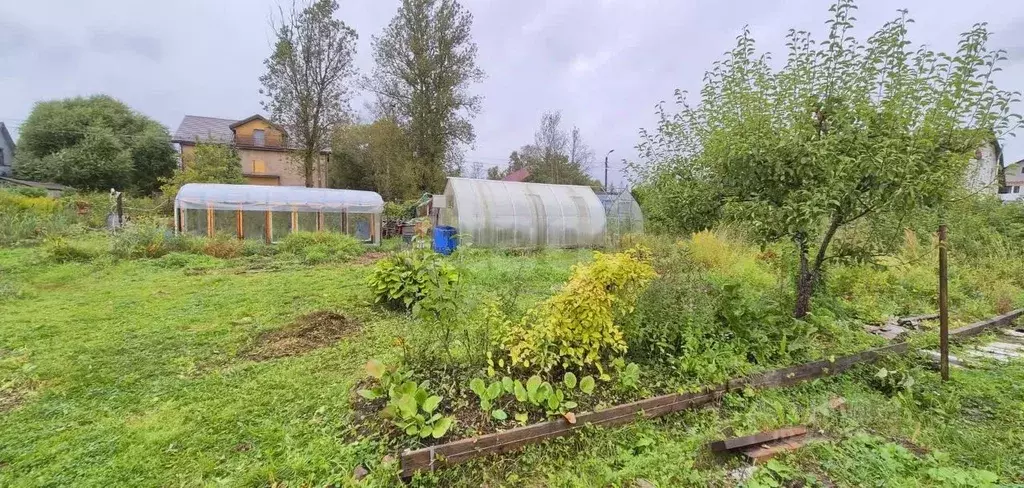 Участок в Санкт-Петербург Сергиево тер.,  (3.78 сот.) - Фото 1