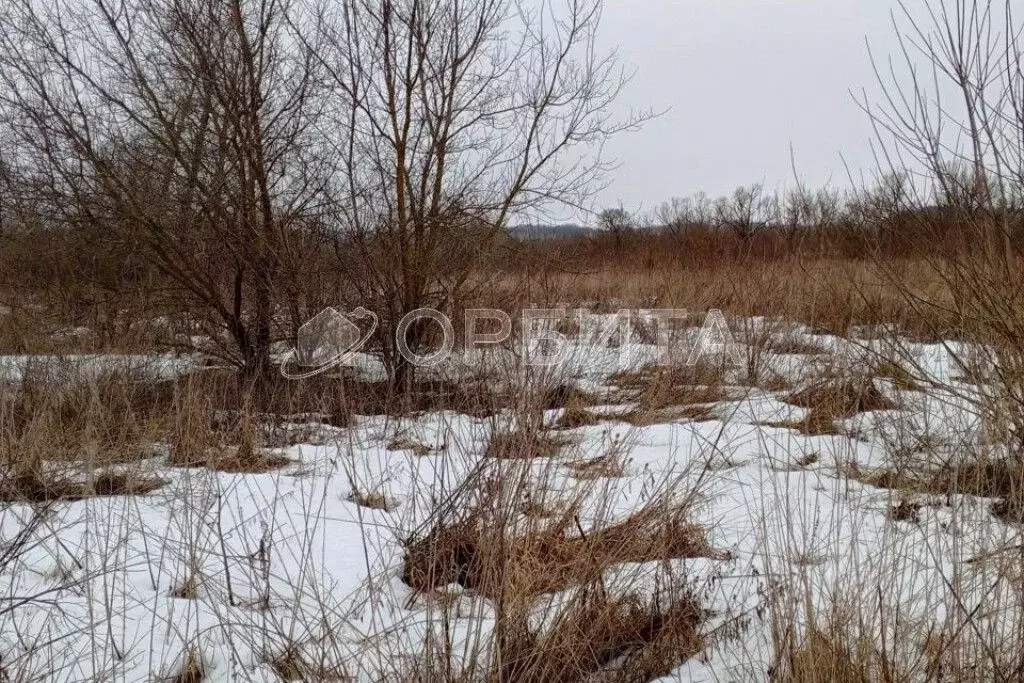 Участок в Тюменская область, Тюменский район, Нива СНТ ул. Урожайная, ... - Фото 1