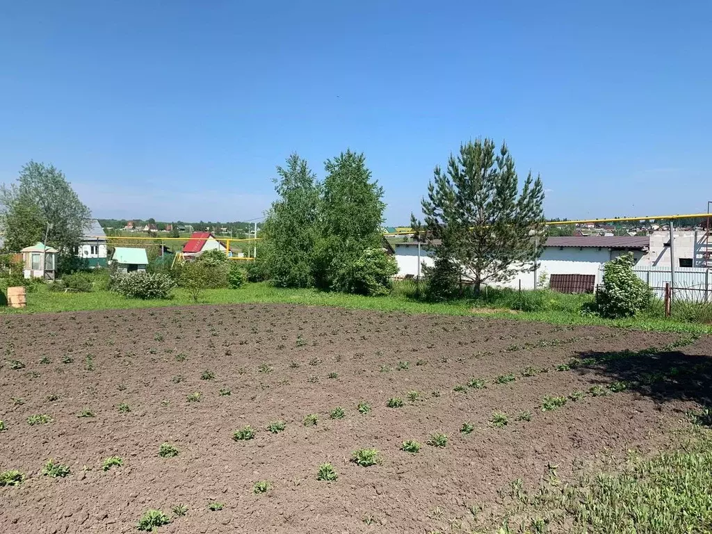 Участок в Кемеровская область, Кемеровский район, с. Андреевка Новая ... - Фото 0