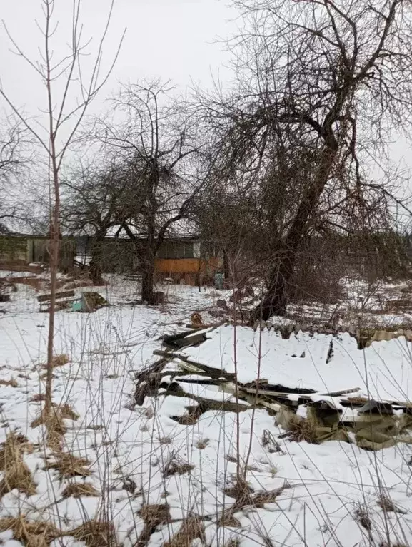 Дом в Московская область, Рузский муниципальный округ, Усадково СНТ 21 ... - Фото 2