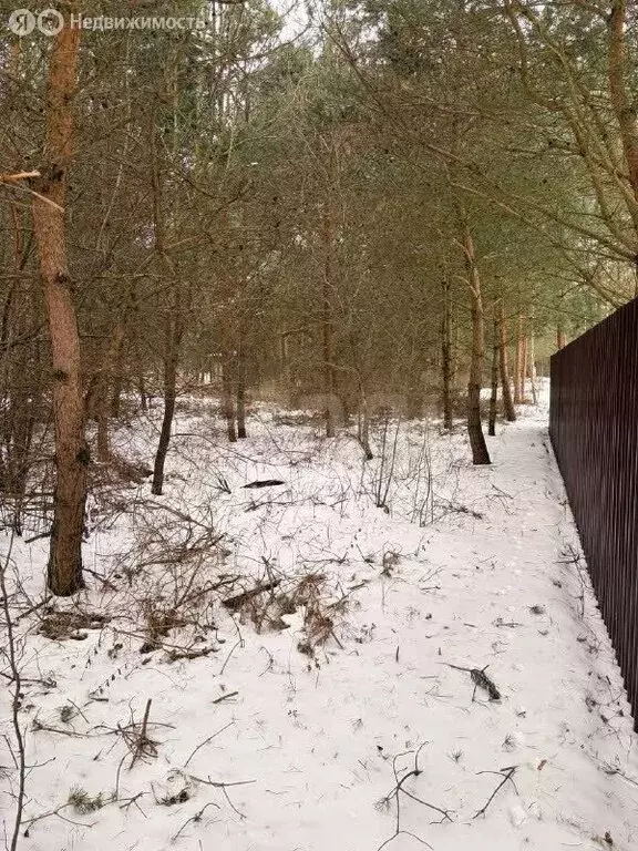 Участок в Калининградская область, Балтийск (6.1 м) - Фото 1