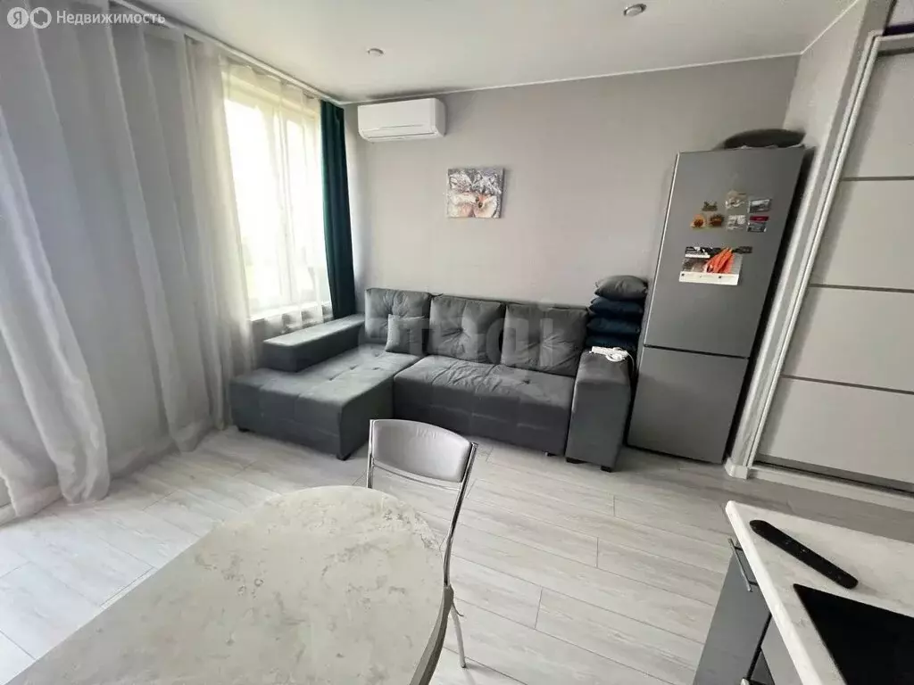 Квартира-студия: деревня Бородино, Малая Бородинская улица, 1к3 (24 м) - Фото 0