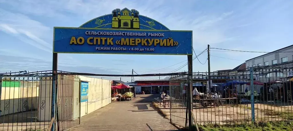 Торговая площадь в Московская область, Сергиев Посад Пограничная ул., ... - Фото 0