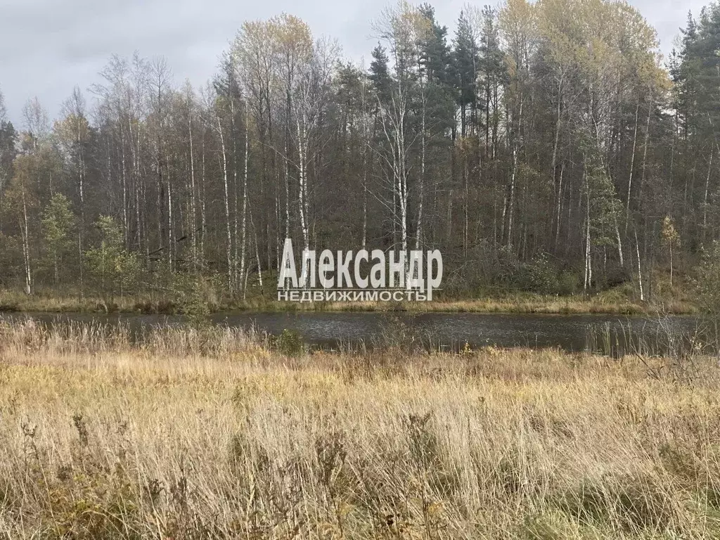 Участок в Ленинградская область, Приозерский район, Севастьяновское ... - Фото 1