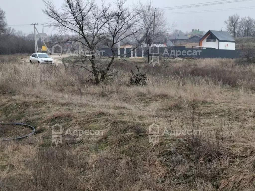 Участок в Волгоградская область, Городищенский район, Царицынское ... - Фото 2