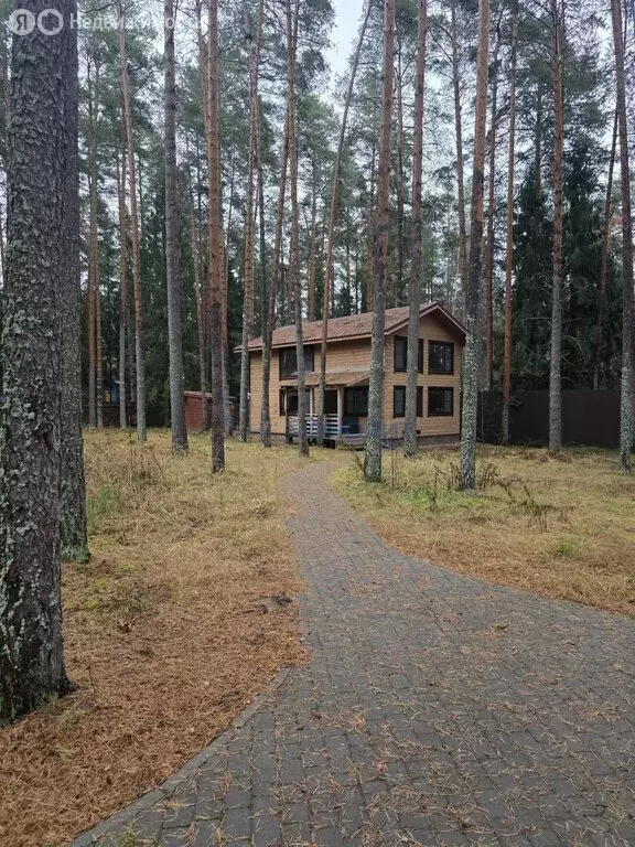 Участок в Нижегородская область, Городецкий муниципальный округ, ... - Фото 1