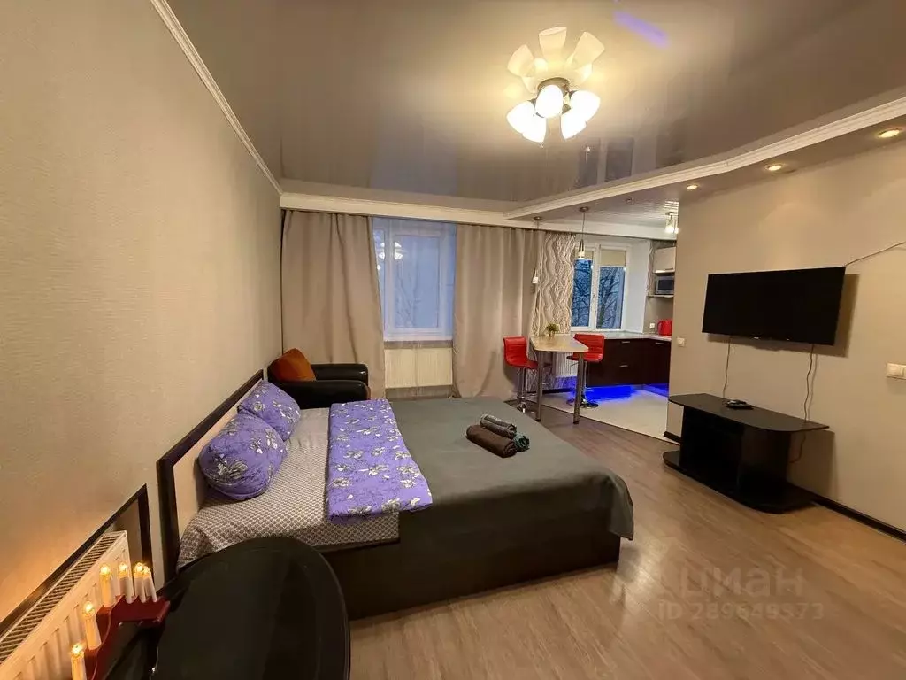 Студия Мурманская область, Мурманск ул. Полярные Зори, 45к1 (32.0 м) - Фото 1