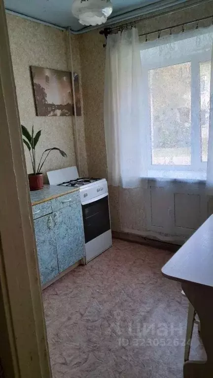 2-к кв. Пермский край, Соликамск ул. Культуры, 17 (45.1 м) - Фото 1