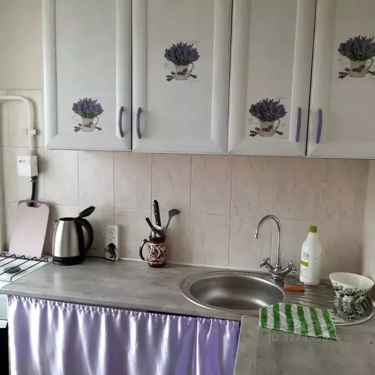 1-к кв. Омская область, Омск ул. 2-я Дачная, 20 (22.0 м) - Фото 1