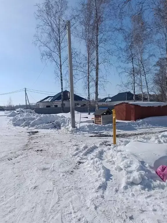 Участок в Новосибирская область, Новосибирский район, Криводановский ... - Фото 2