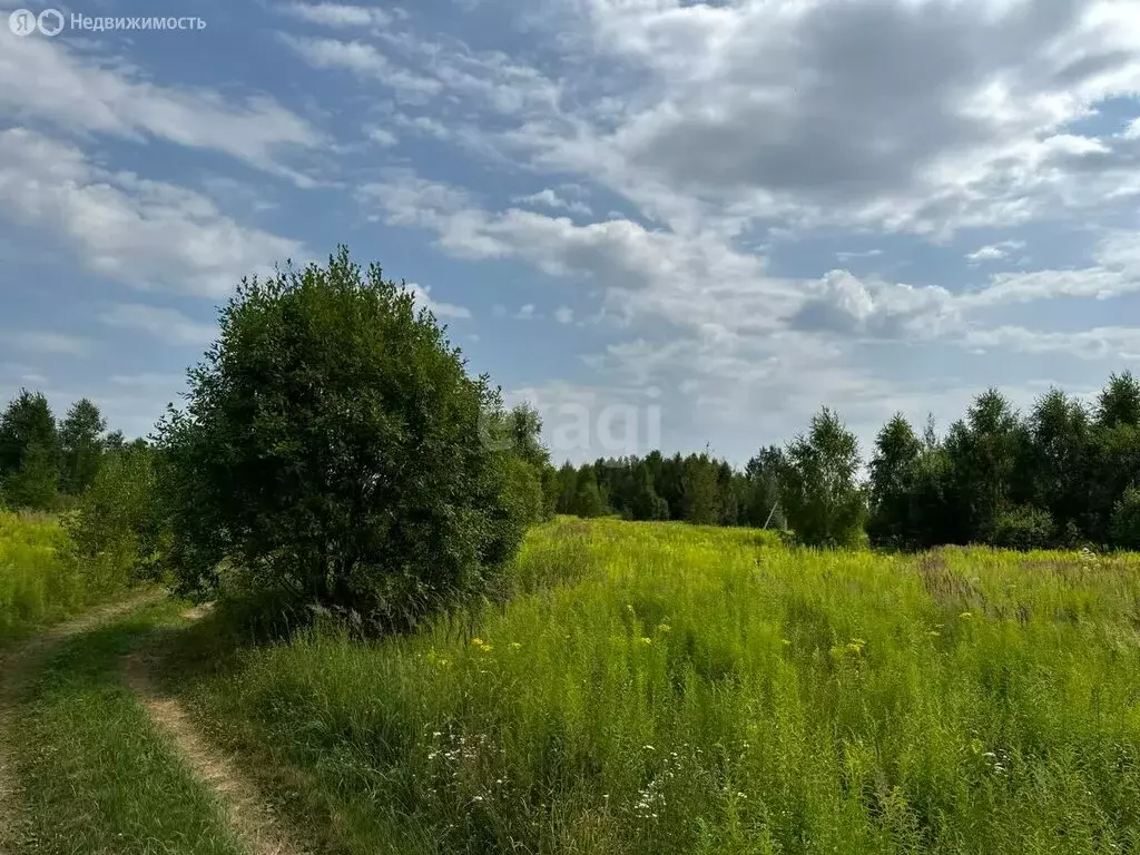 Участок в Нижегородская область, Городецкий муниципальный округ, ... - Фото 0