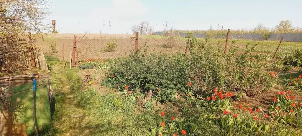 Дом в Белгородская область, Яковлевский муниципальный округ, село ... - Фото 0