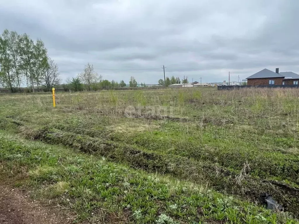 Участок в Башкортостан, Кармаскалинский район, Старомусинский ... - Фото 1