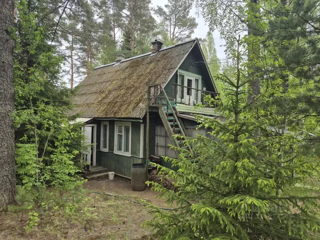 Участок в Ленинградская область, Приозерский район, Сосновское с/пос, ... - Фото 0