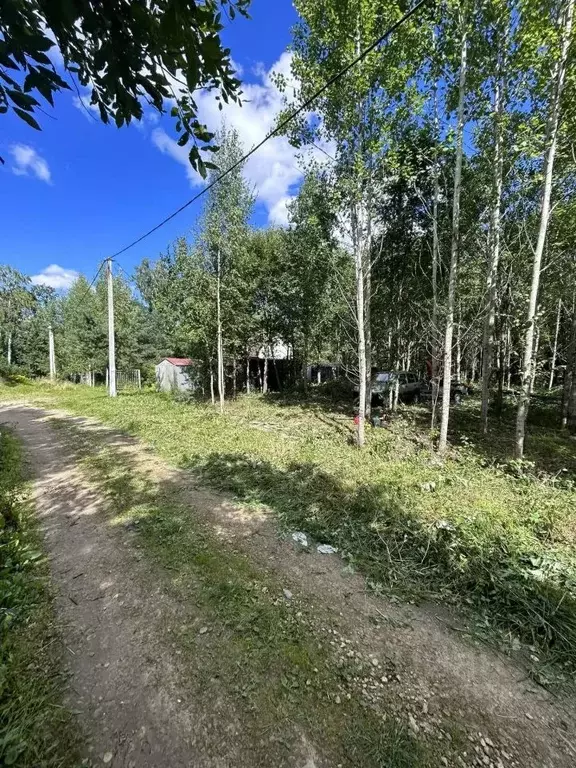 Участок в Ленинградская область, Кировский район, Мгинское городское ... - Фото 1