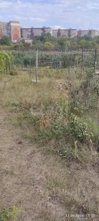 Участок в Саратовская область, Саратов Маслозавод-1 СНТ, 27 (6.0 сот.) - Фото 1