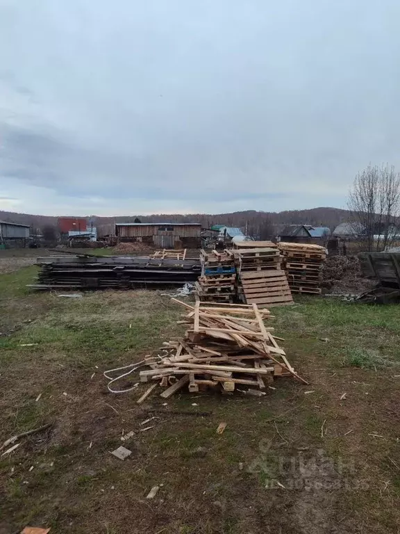 Участок в Новосибирская область, Тогучинский район, д. Ермачиха ул. ... - Фото 1