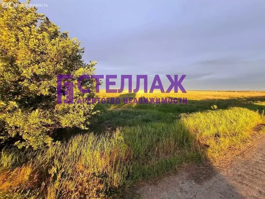 Участок в Ильичёвское сельское поселение, село Дятловка, Трудовая ... - Фото 0