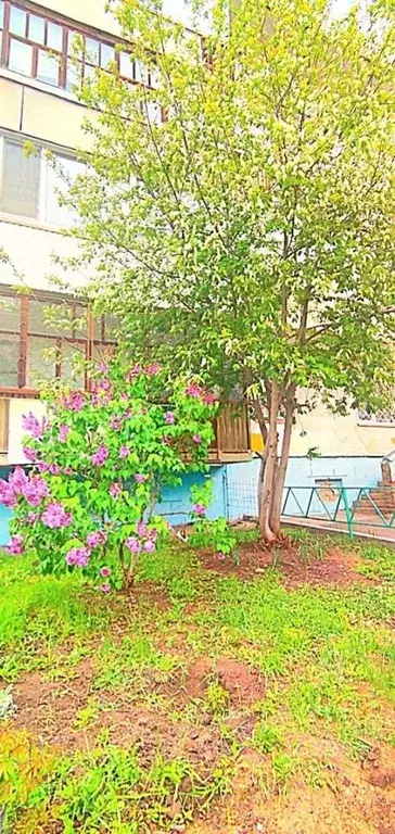 1-к кв. Башкортостан, Уфа Дуванский бул., 26 (37.0 м) - Фото 1