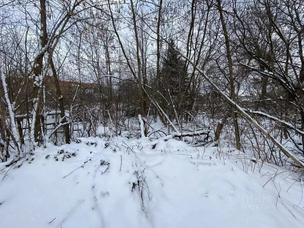 Участок в Московская область, Подольск городской округ, пос. ... - Фото 1