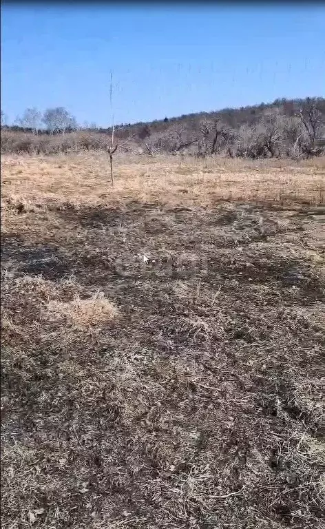 Участок в Сахалинская область, Корсаковский городской округ, с. ... - Фото 0