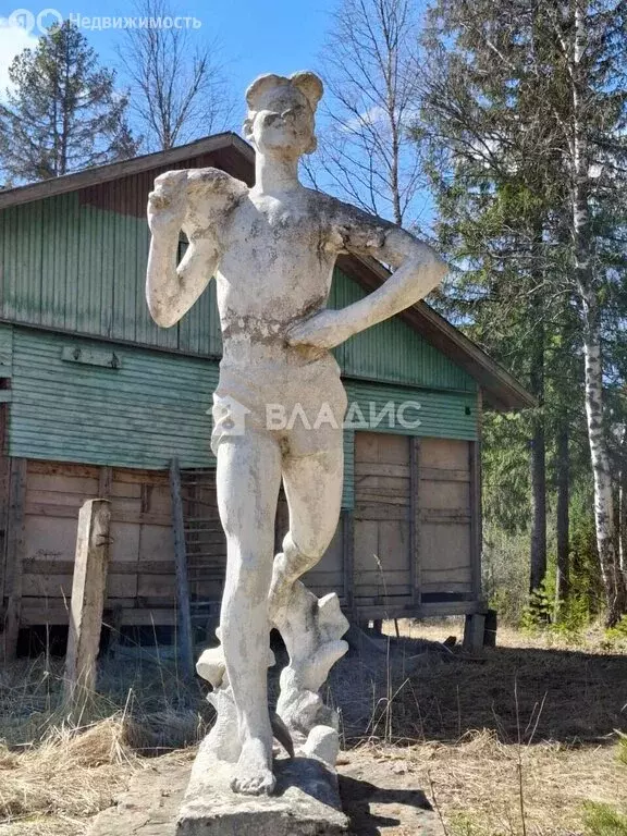 Участок в Вологодская область, Белозерский муниципальный округ, ... - Фото 0