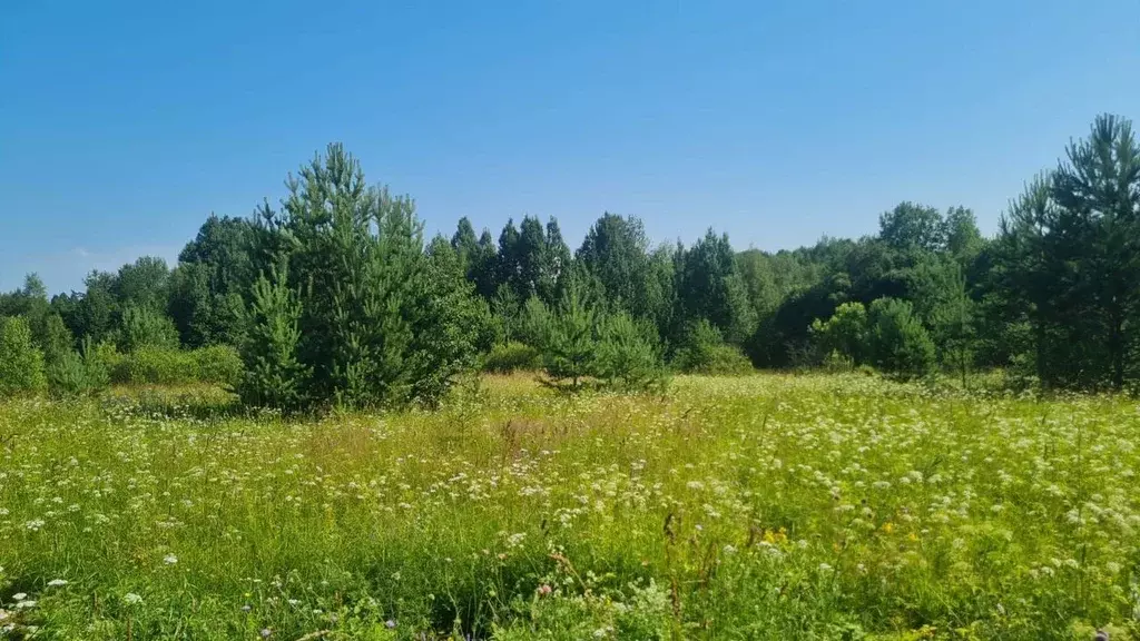 Участок в Ленинградская область, Приозерский район, Красноозерное ... - Фото 2