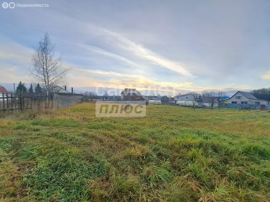 Участок в Владимирская область, Александровский муниципальный округ, ... - Фото 2