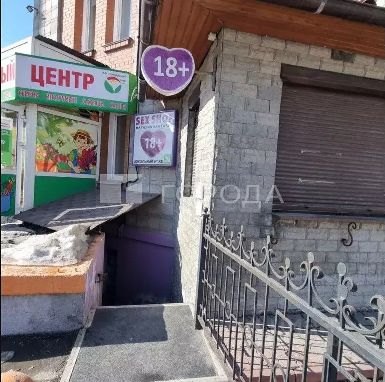 Помещение свободного назначения в Новосибирская область, Новосибирск ... - Фото 1