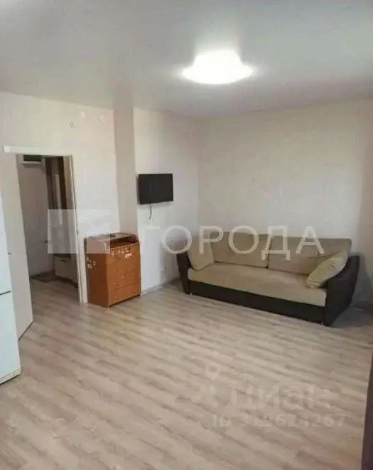 Студия Новосибирская область, Новосибирск ул. Петухова, 162 (31.0 м) - Фото 1