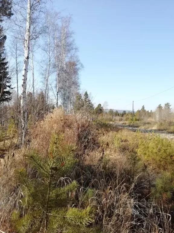 Участок в Иркутская область, Иркутский муниципальный округ, Фотон СНТ  ... - Фото 1