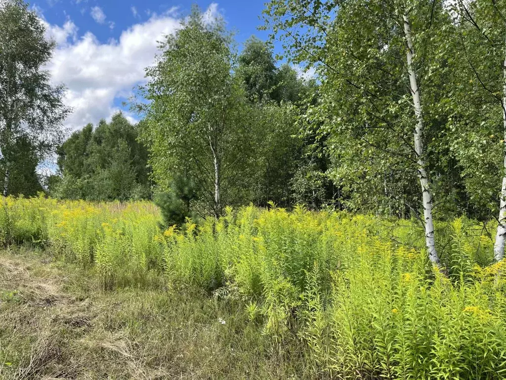 Участок в Нижегородская область, Бор городской округ, д. Макарово 4 ... - Фото 1