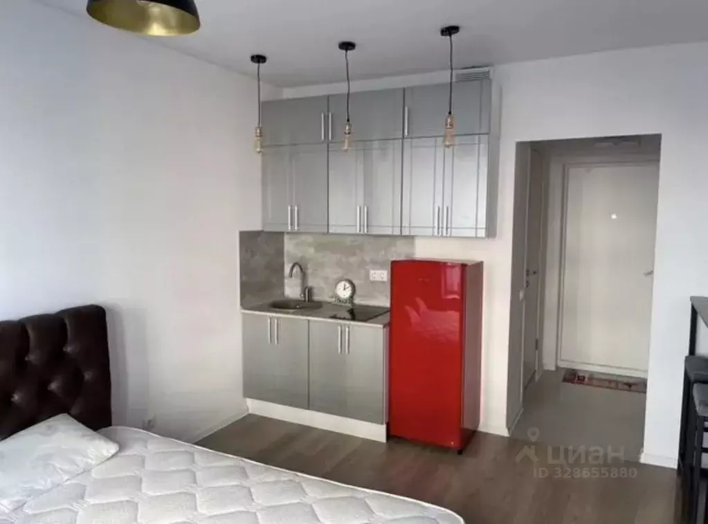 Студия Московская область, Люберцы ул. Юности, 6 (22.0 м) - Фото 2