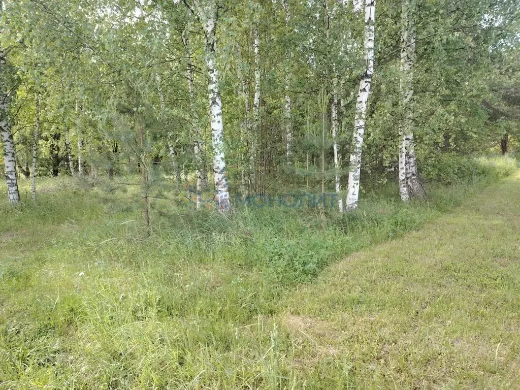 Участок в Нижегородская область, Богородский муниципальный округ, Заря ... - Фото 0