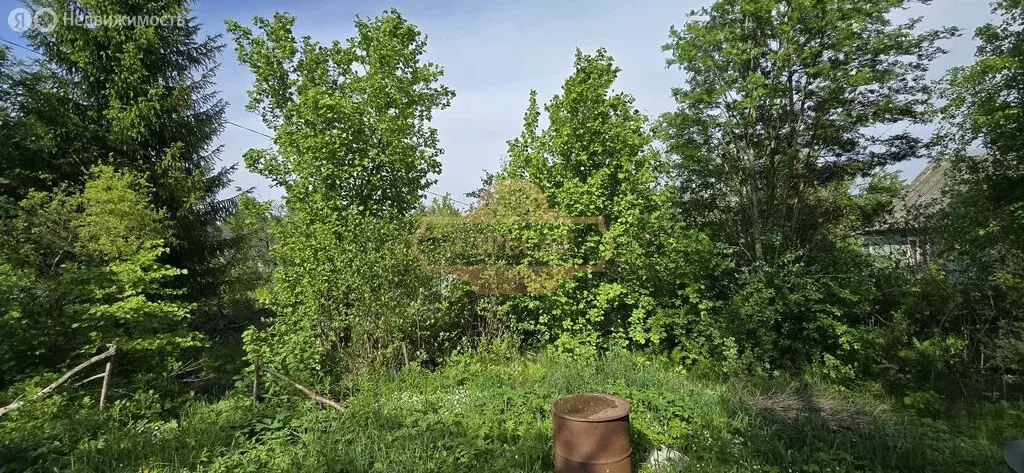 Участок в Кировский район, Синявинское городское поселение, ... - Фото 2