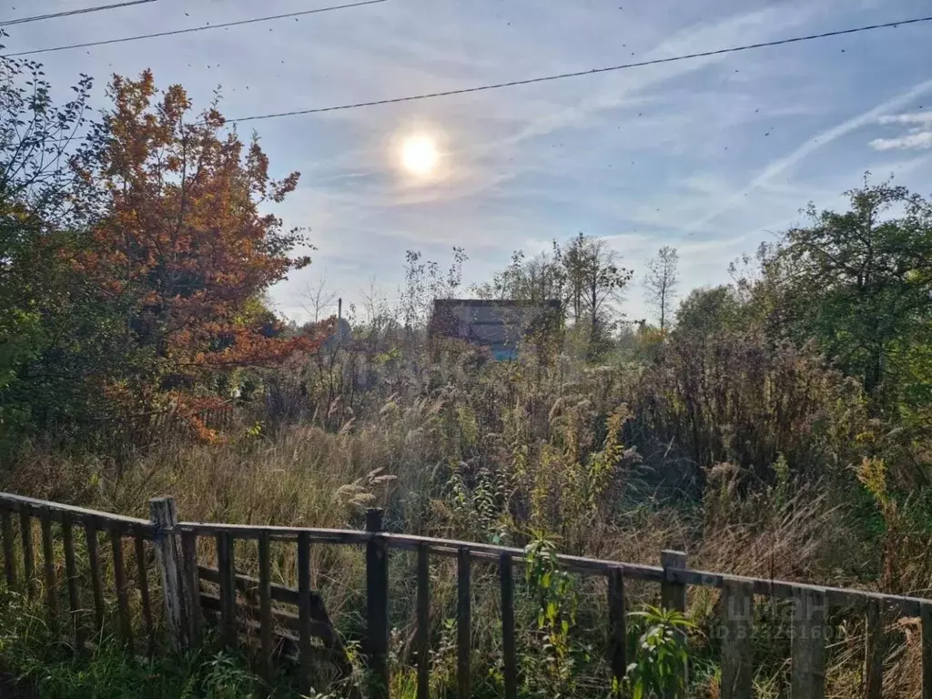 Участок в Калининградская область, Гурьевский муниципальный округ, ... - Фото 2